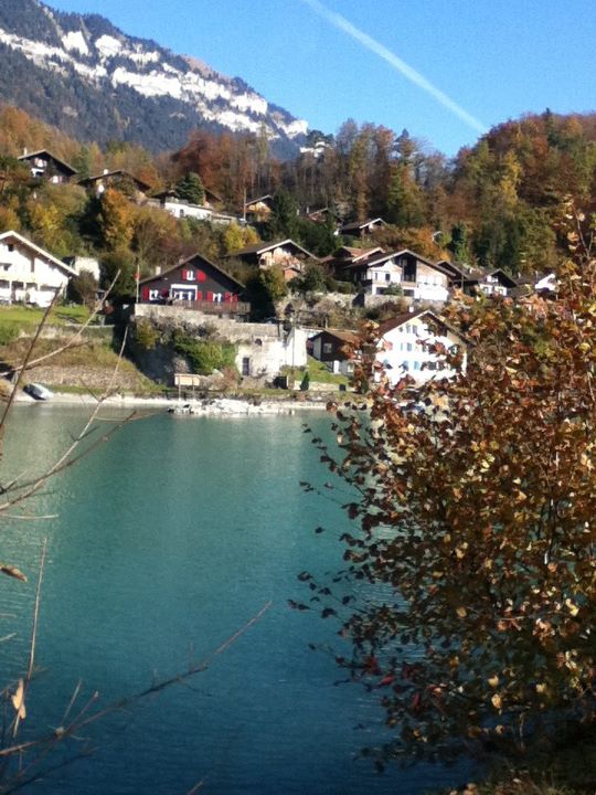 amazing of course-Switzerland