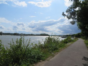 The Rhine River (August 2014)