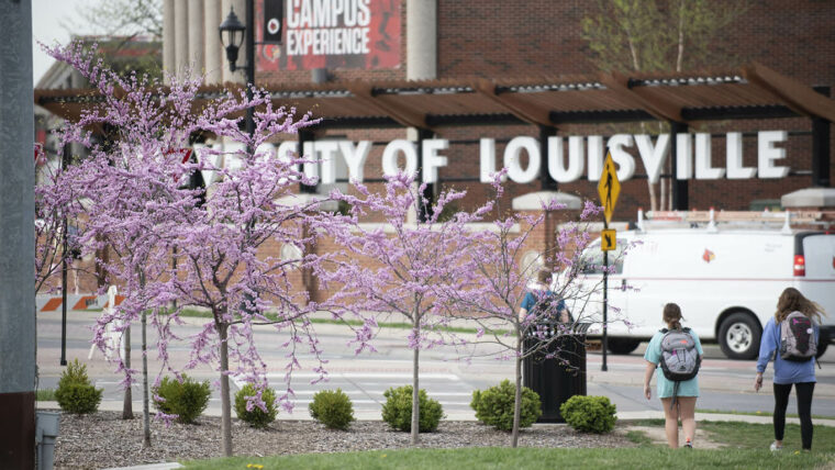 About : University of Louisville – College of Business