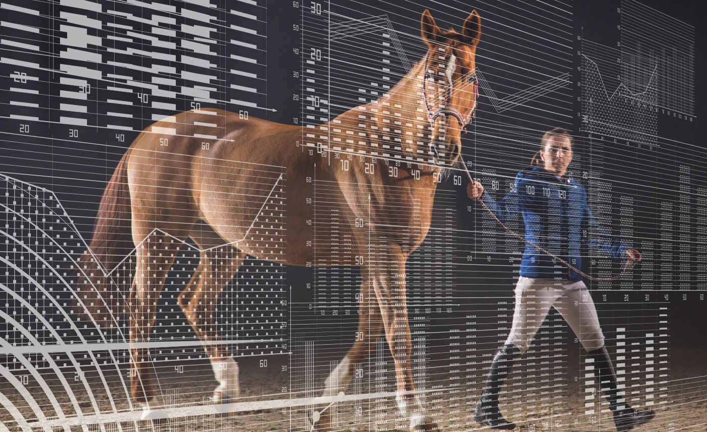 race horse with data analytics graphics overlay