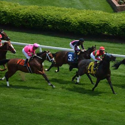 赛跑在丘吉尔的六匹马在草击倒。