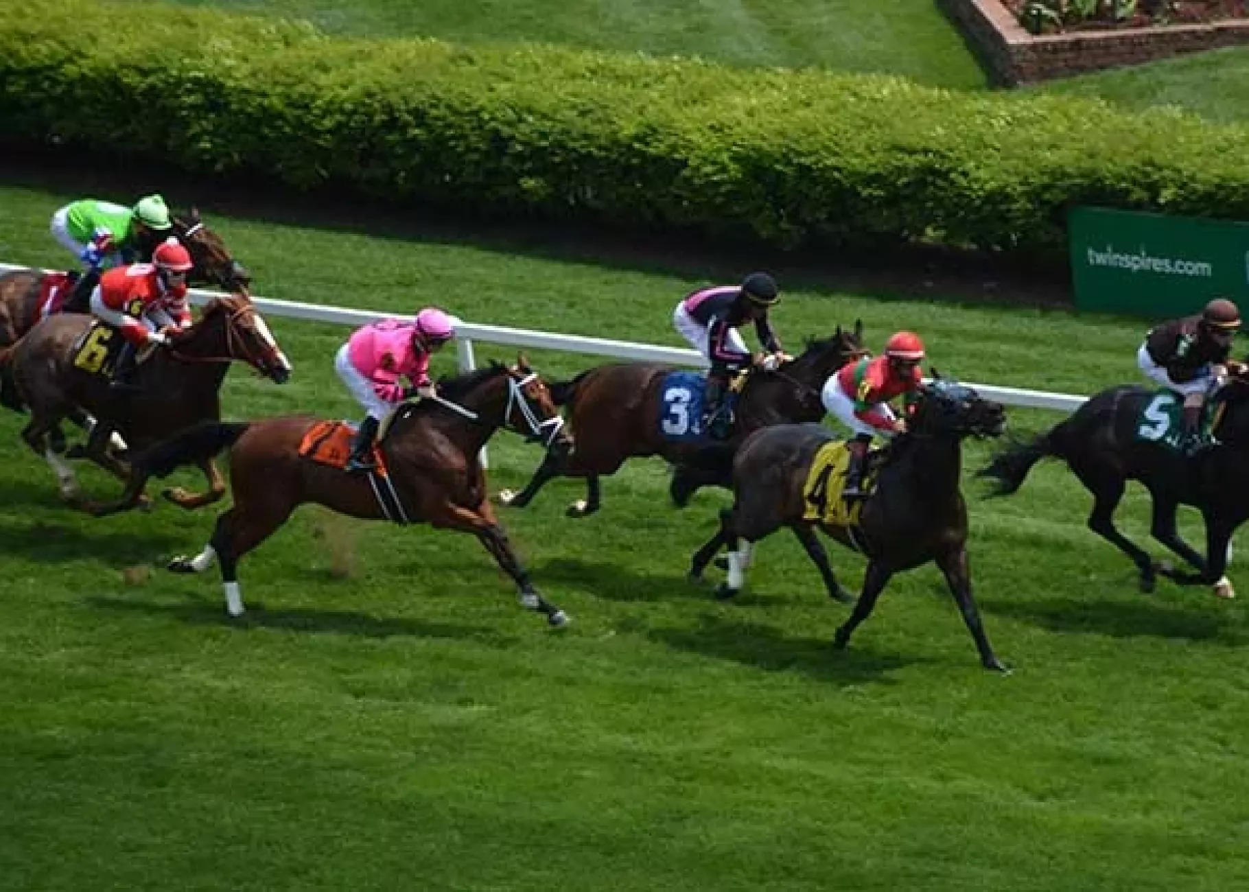 Six horses racing at Churchill Downs on the turfway.