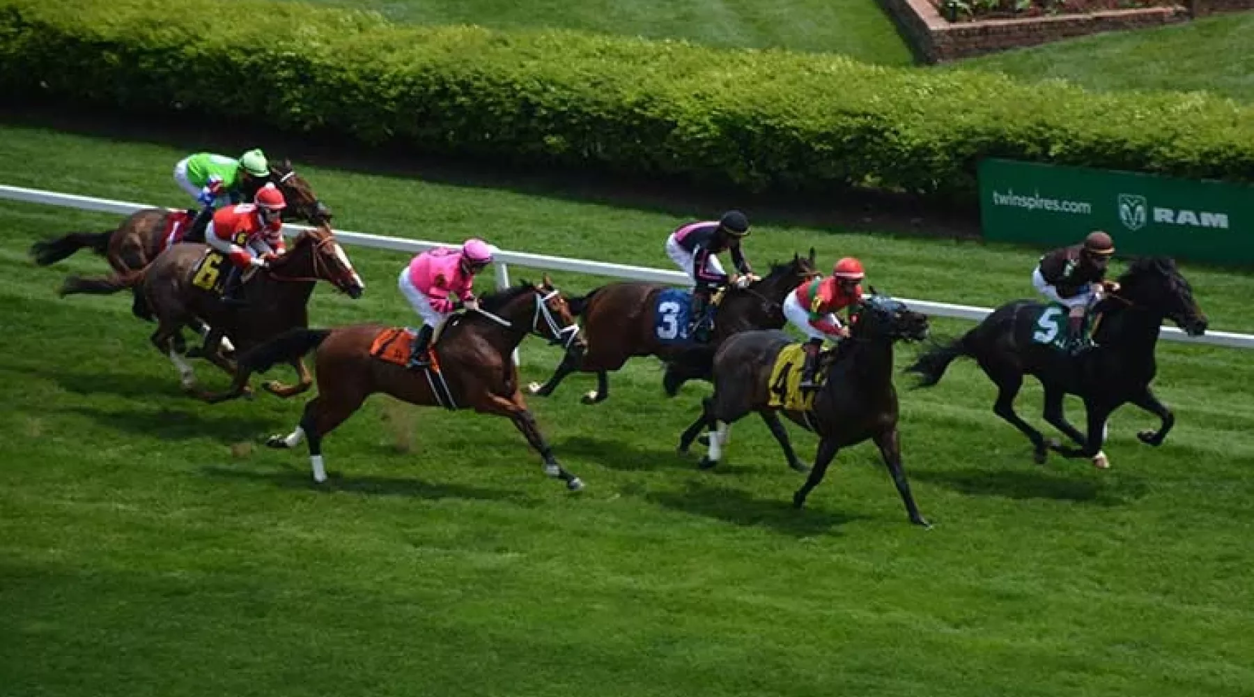 Six horses racing at Churchill Downs on the turfway.