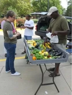 Farmers market table with variety of veggies.